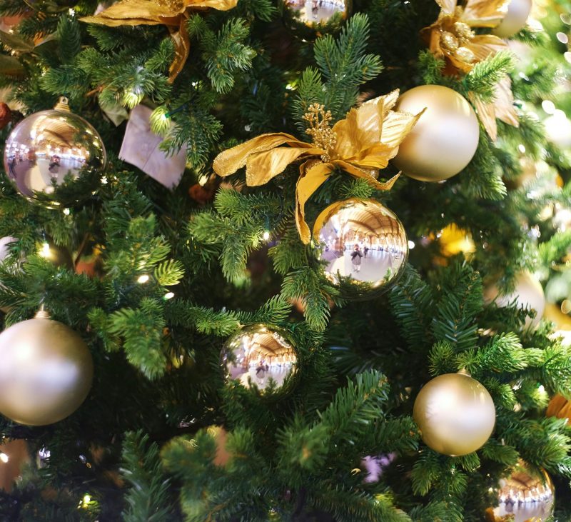 dmitrii-e-28AvajHOpWE-unsplash